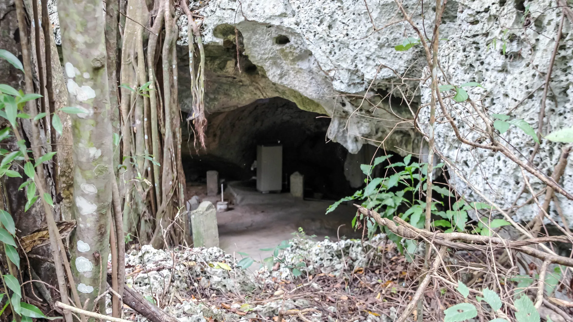Jamaica Discovery Bay Green Grotto Caves 1