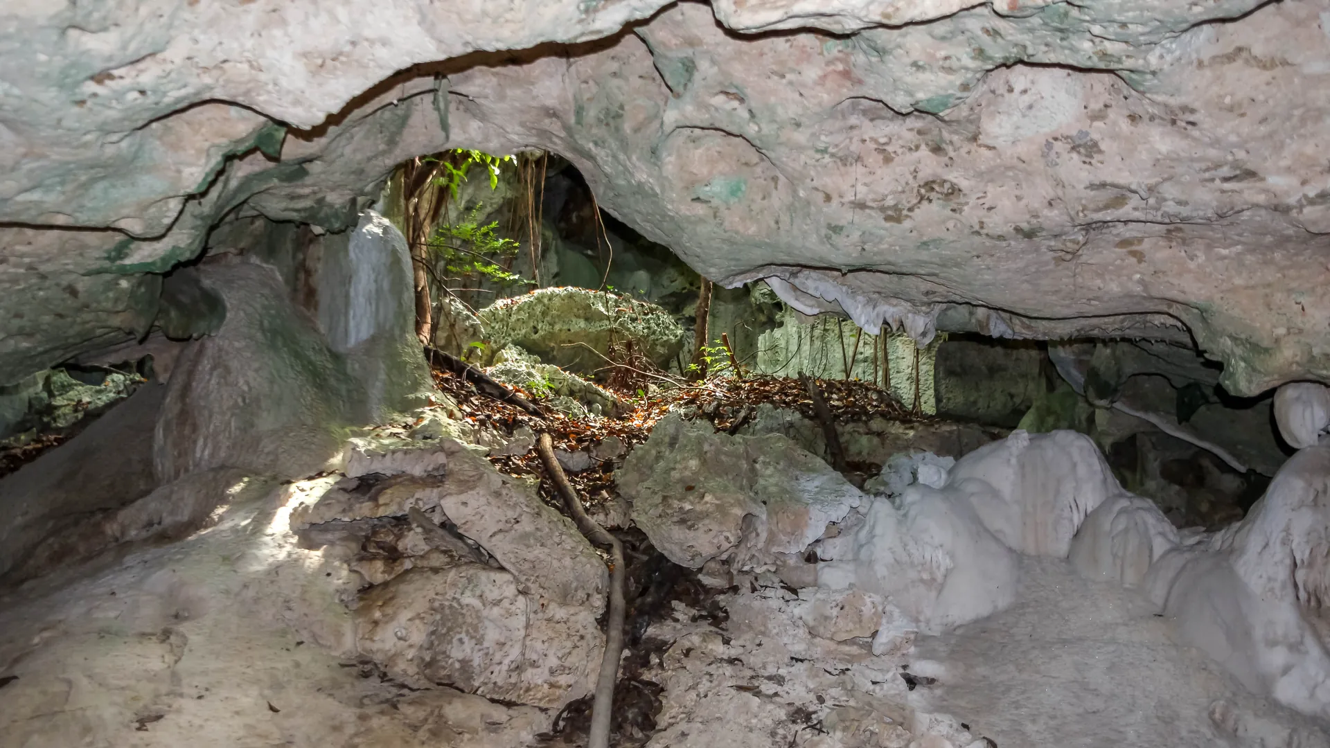 Jamaica Discovery Bay Green Grotto Caves 4